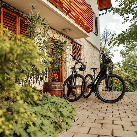 Cozy Family Place 'Hisa Grozdek' - Gruskovec 40A Exterior photo
