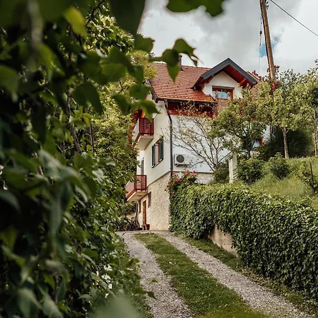 Cozy Family Place 'Hisa Grozdek' - Gruskovec 40A Exterior photo