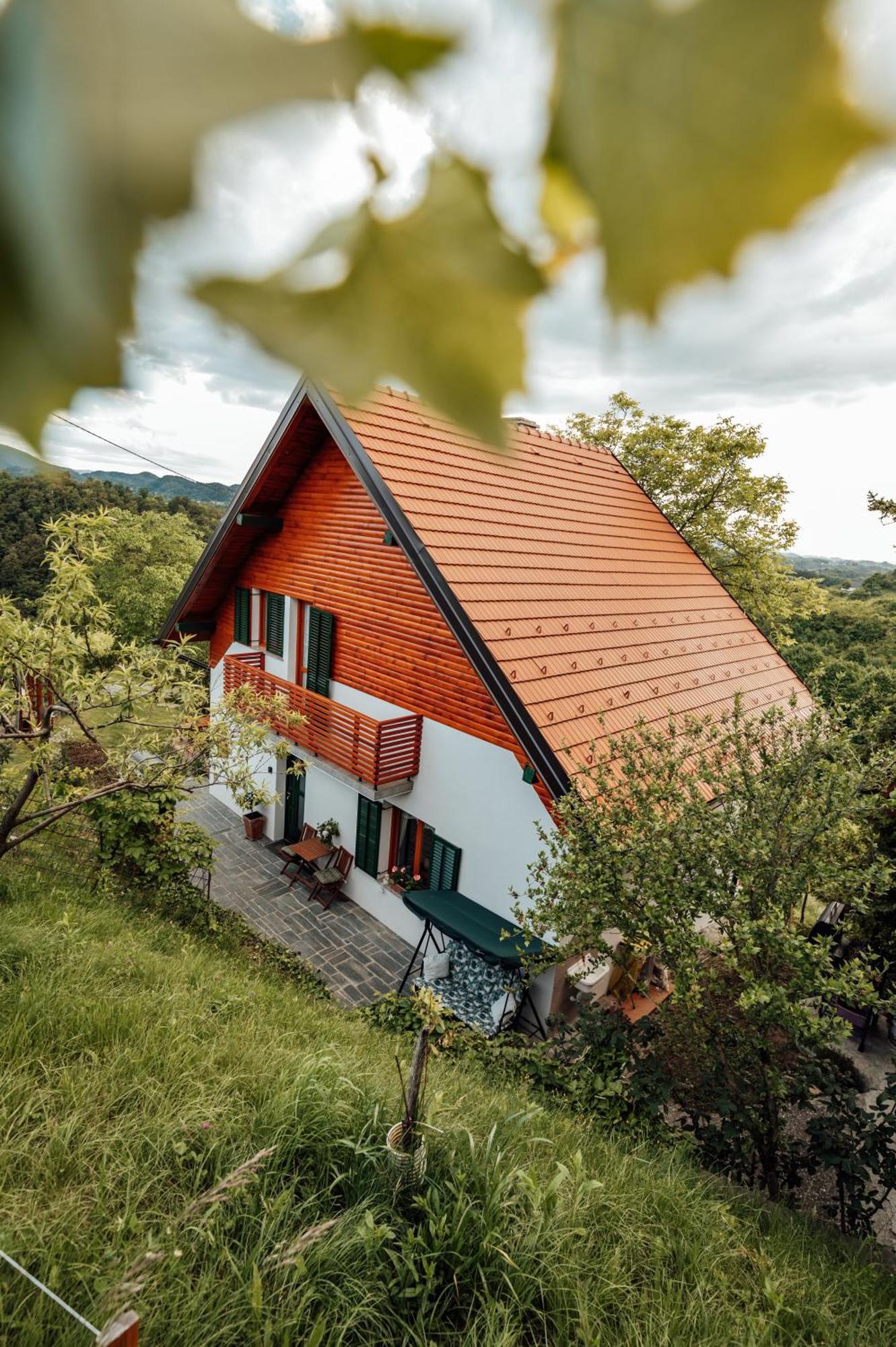 Cozy Family Place 'hisa Grozdek' - 40a