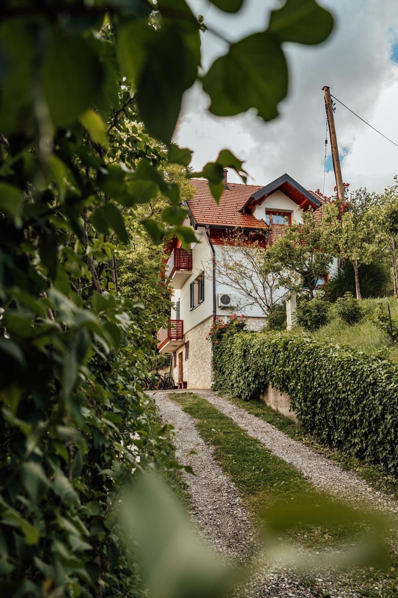 Cozy Family Place 'hisa Grozdek' - 40a Dom wakacyjny Gruskovec
